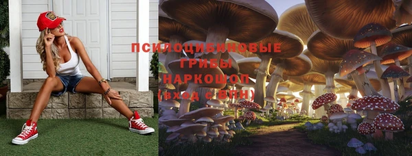 соль курить ск Медвежьегорск