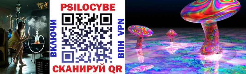 Псилоцибиновые грибы Psilocybine cubensis  наркотики  Тбилисская 